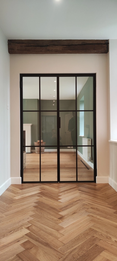 living room with crittall style internal doors and a green accent wall